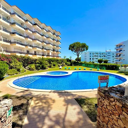 Palm Tree 2 With Pool By Homing