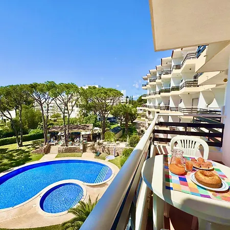 Palm Tree 2 With Pool By Homing * فيلامورا